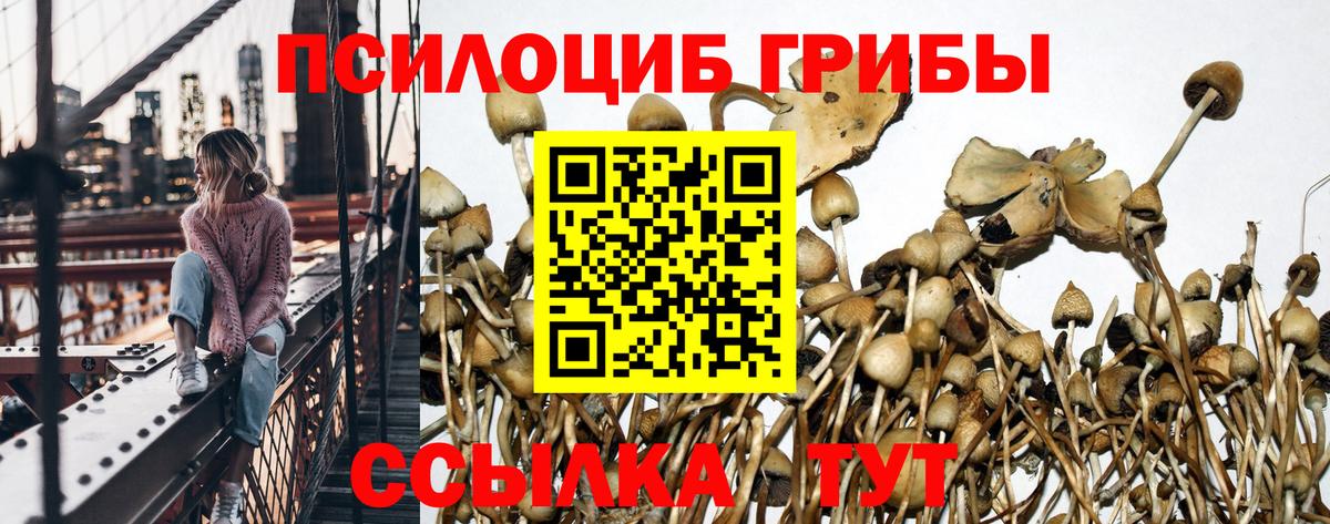 Псилоцибиновые грибы GOLDEN TEACHER  Вход с VPN  Псилоцибиновые грибы мухоморы  Бузулук 