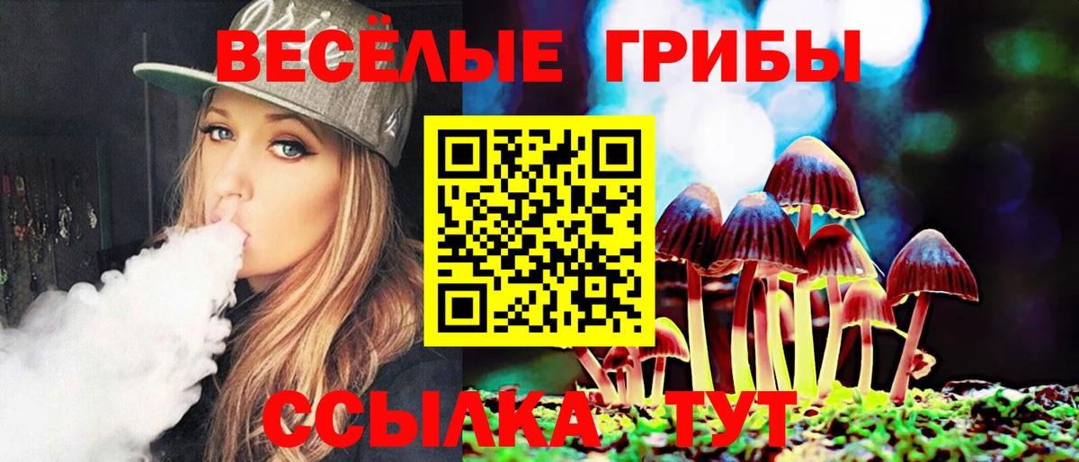 Псилоцибиновые грибы Cubensis Бузулук