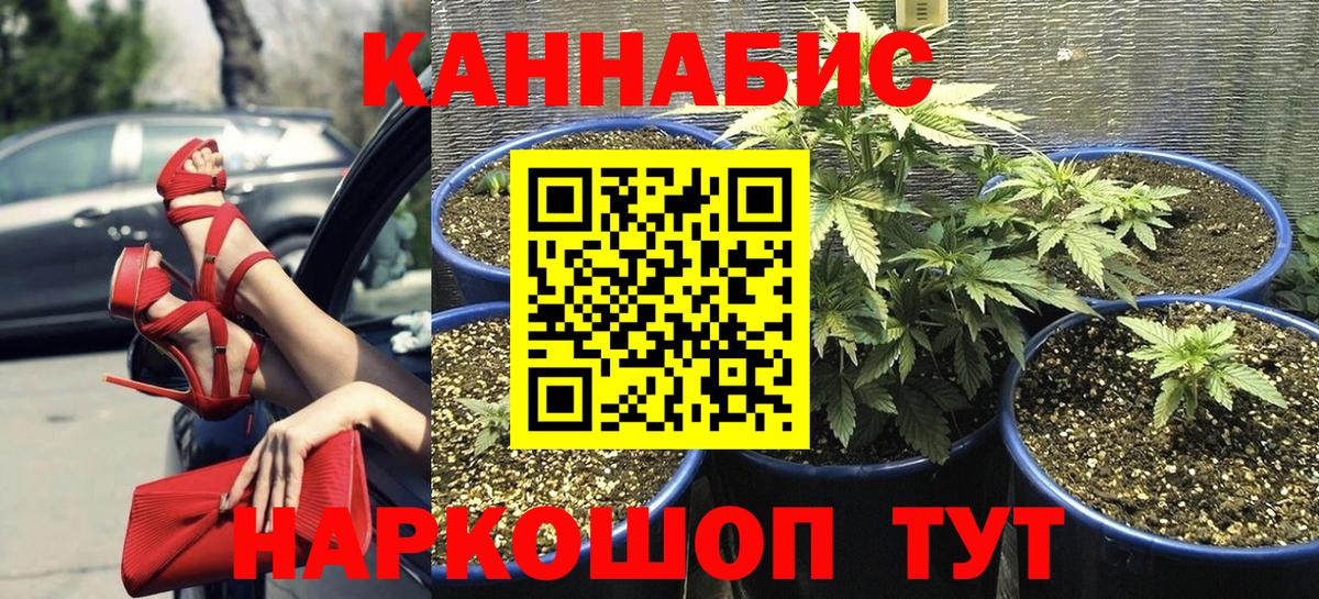 Бузулук  Конопля OG Kush  Каннабис семена  Шишки марихуана OG Kush  Вход с VPN  Марихуана White Widow 